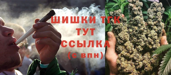 крисы Володарск